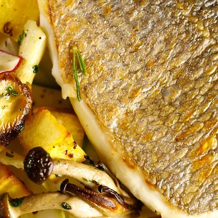 Hypnose - Adult Only 14 바두